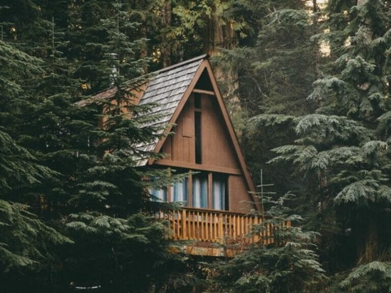 Cottage/cabin in the woods