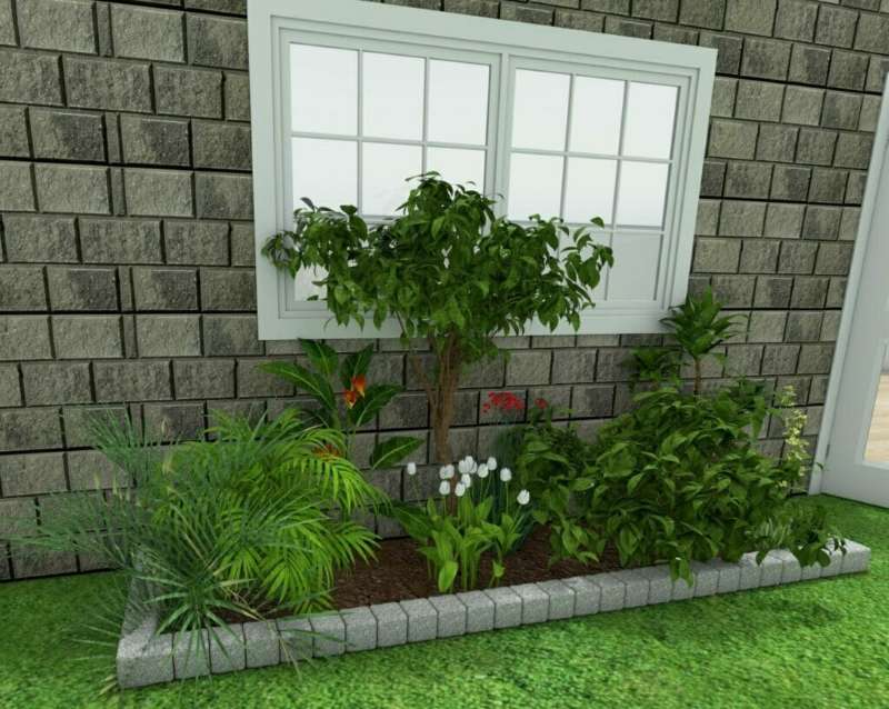 3D rendering of a small, well-maintained garden bed positioned in front of a window with white trim and grid panes. The garden features a variety of plants, including a small tree, leafy green shrubs, white tulips, and tropical flowers, bordered by gray stone edging and surrounded by green grass.
